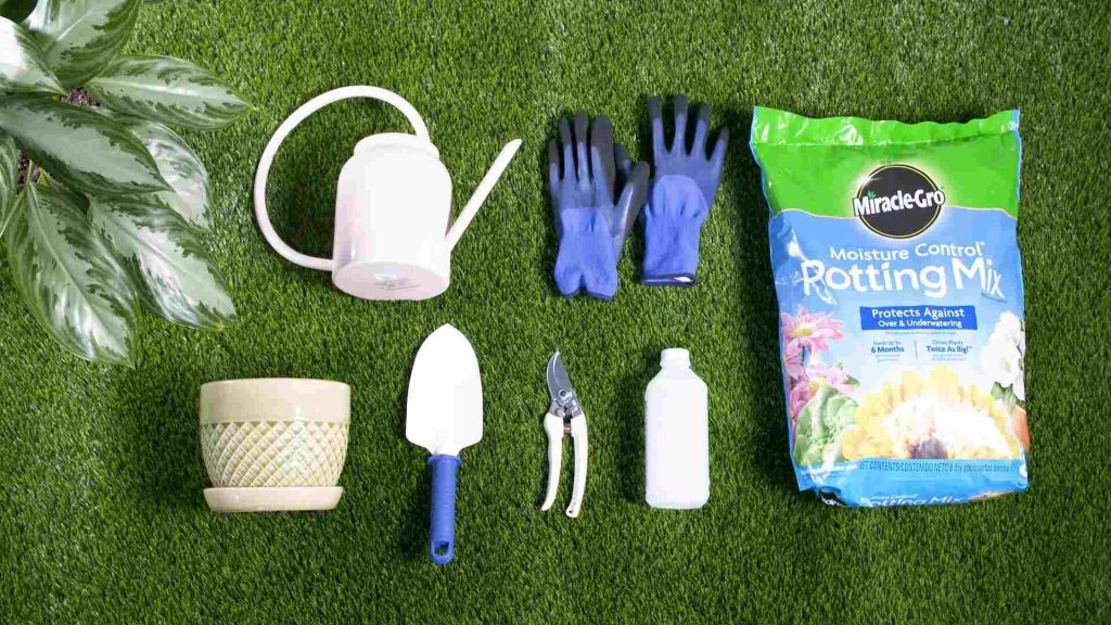 repotting mix 