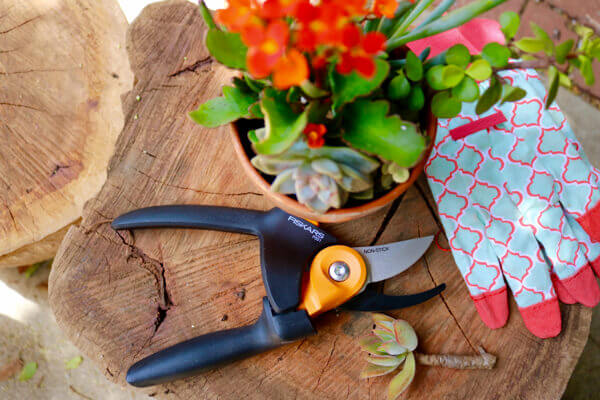 Trimming tools