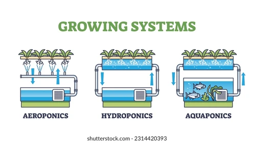 aquaponics vs hydroponics vs aeroponics