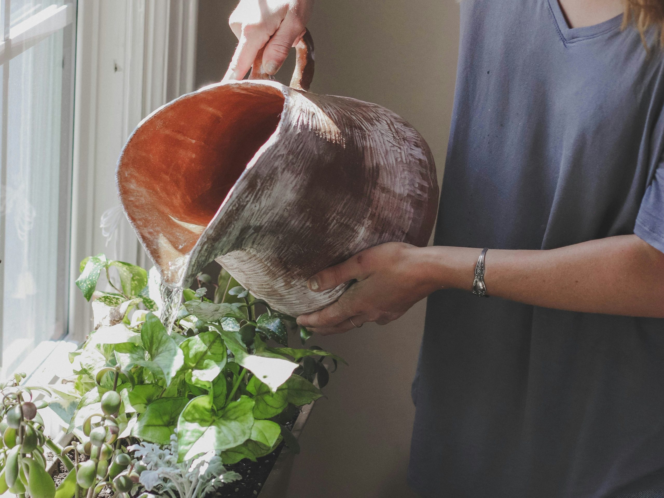 Watering indoor plants