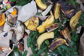 Banana Peel Compost