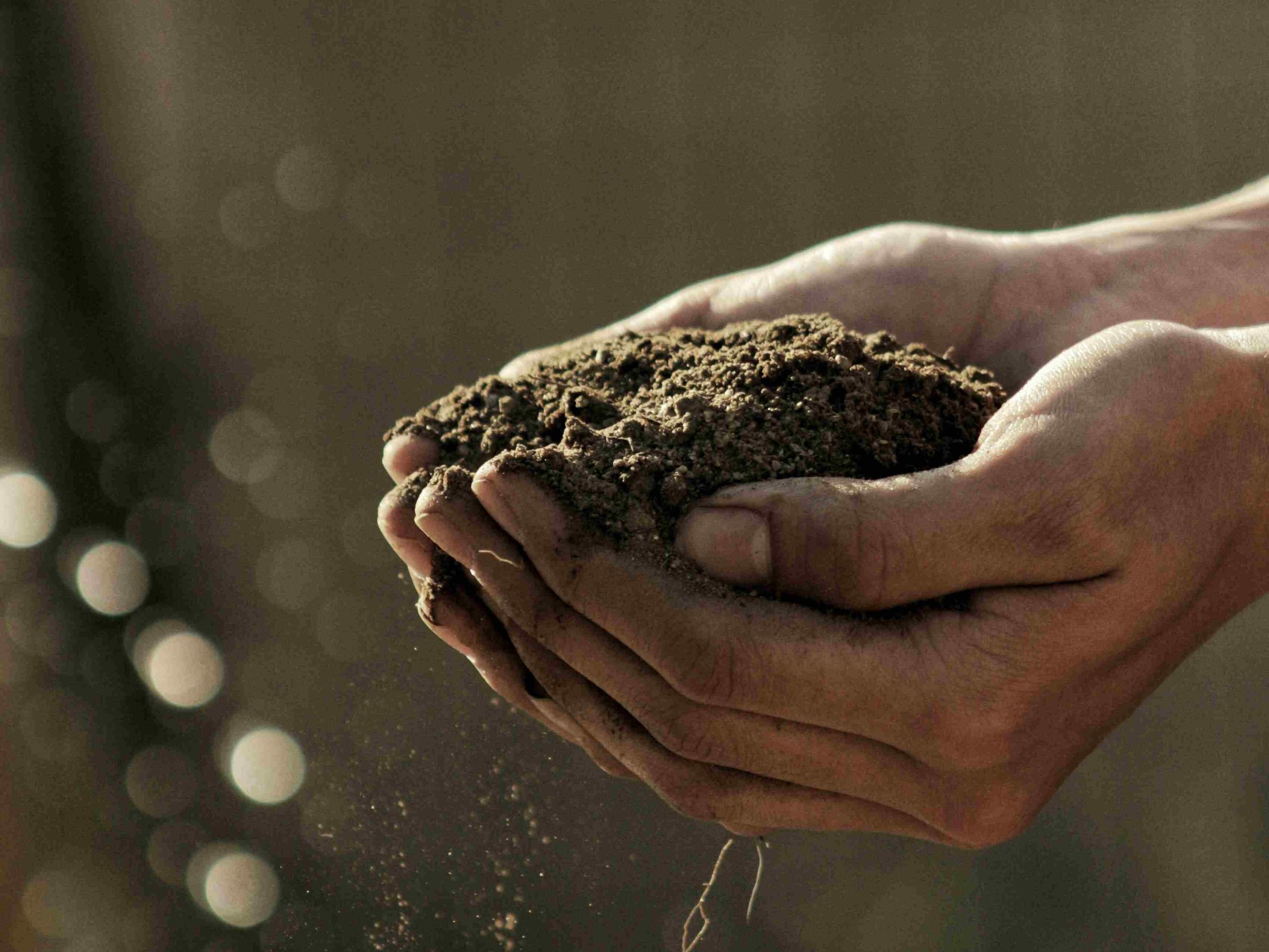 garden soil