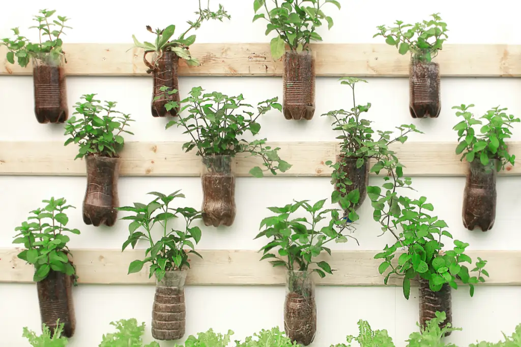DIY Wall Mounted Herb Garden